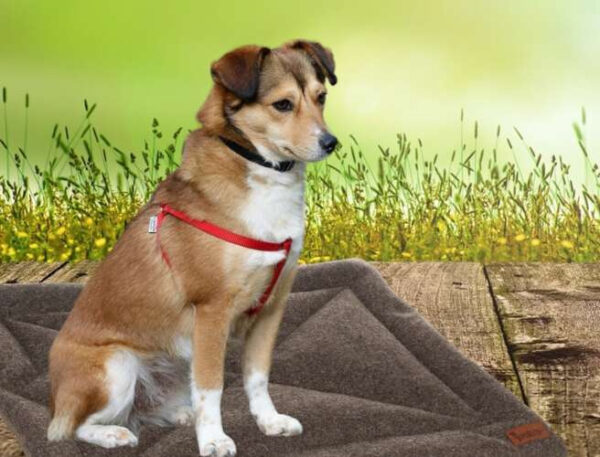 Dog bed Purlov 24593 - Image 12