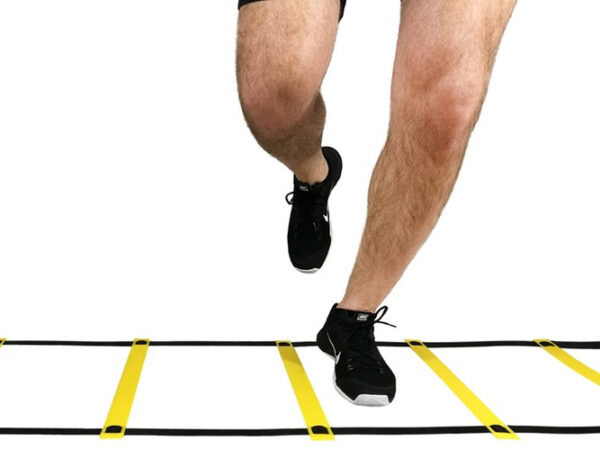 Training ladder - Image 15