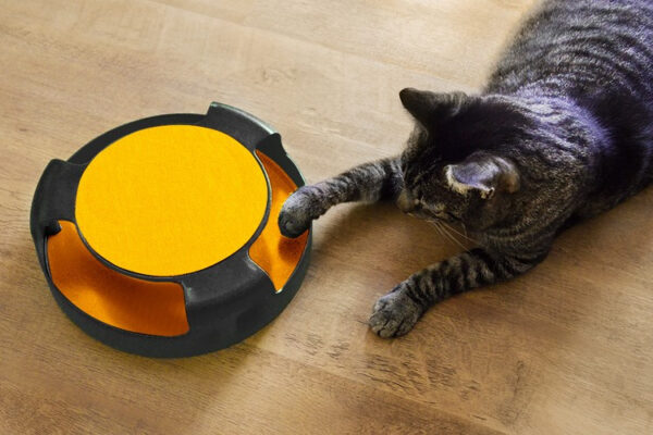 Cat toy - wheel with mouse - Image 10