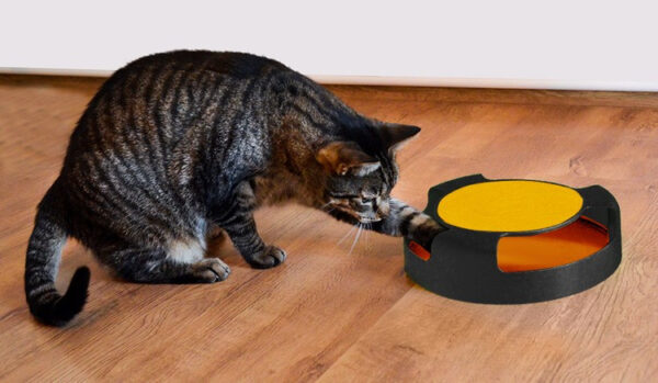 Cat toy - wheel with mouse - Image 9